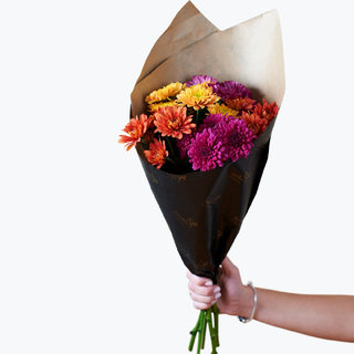 Krysantemum